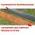 IRKA Rasenkantenband Corten 20 x 0,1 cm - L&auml;nge: 10 m